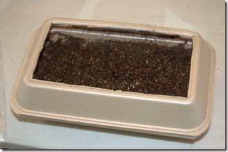 Carryout Container Used For Seed Starting